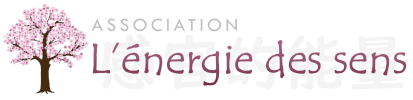 logo img